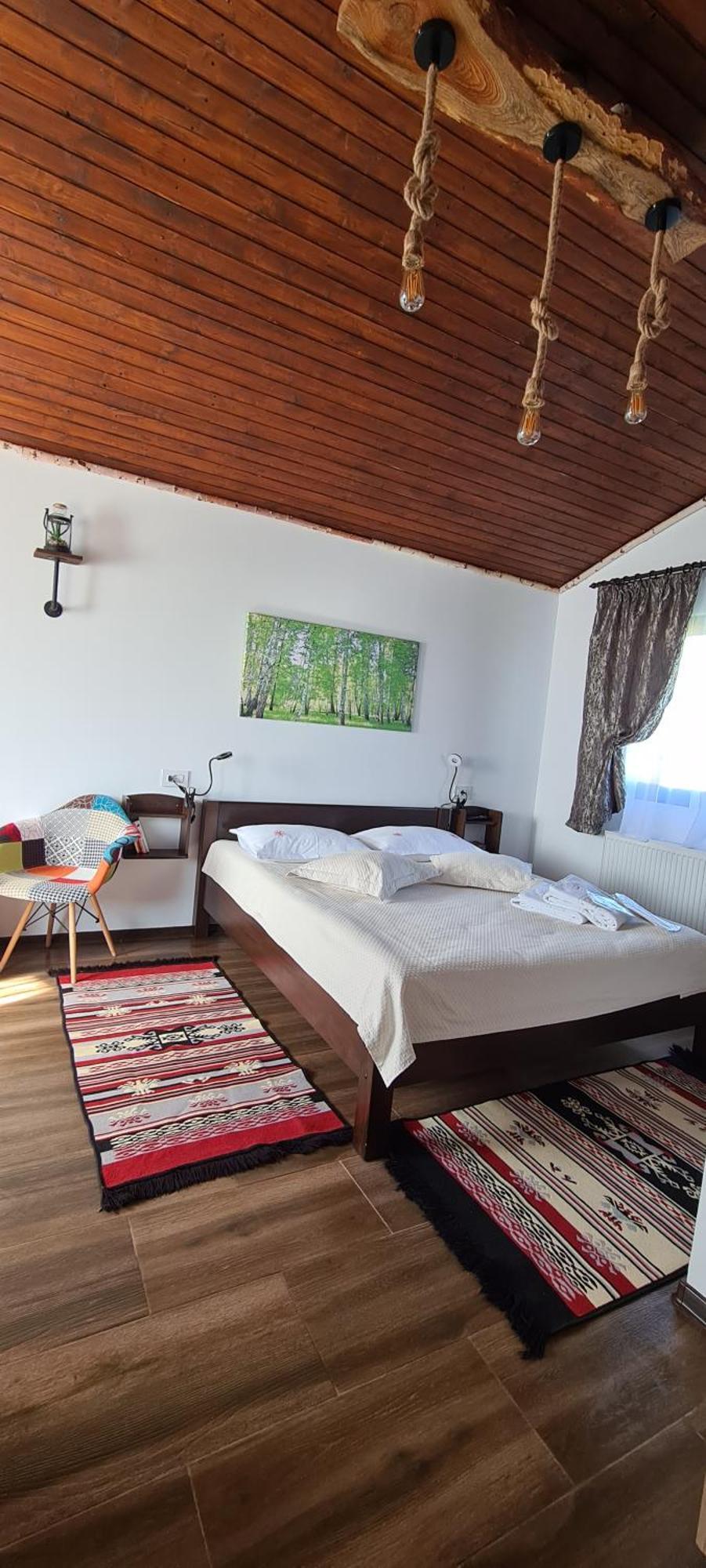 Cabana Bujor De Munte ริชนอฟ ภายนอก รูปภาพ