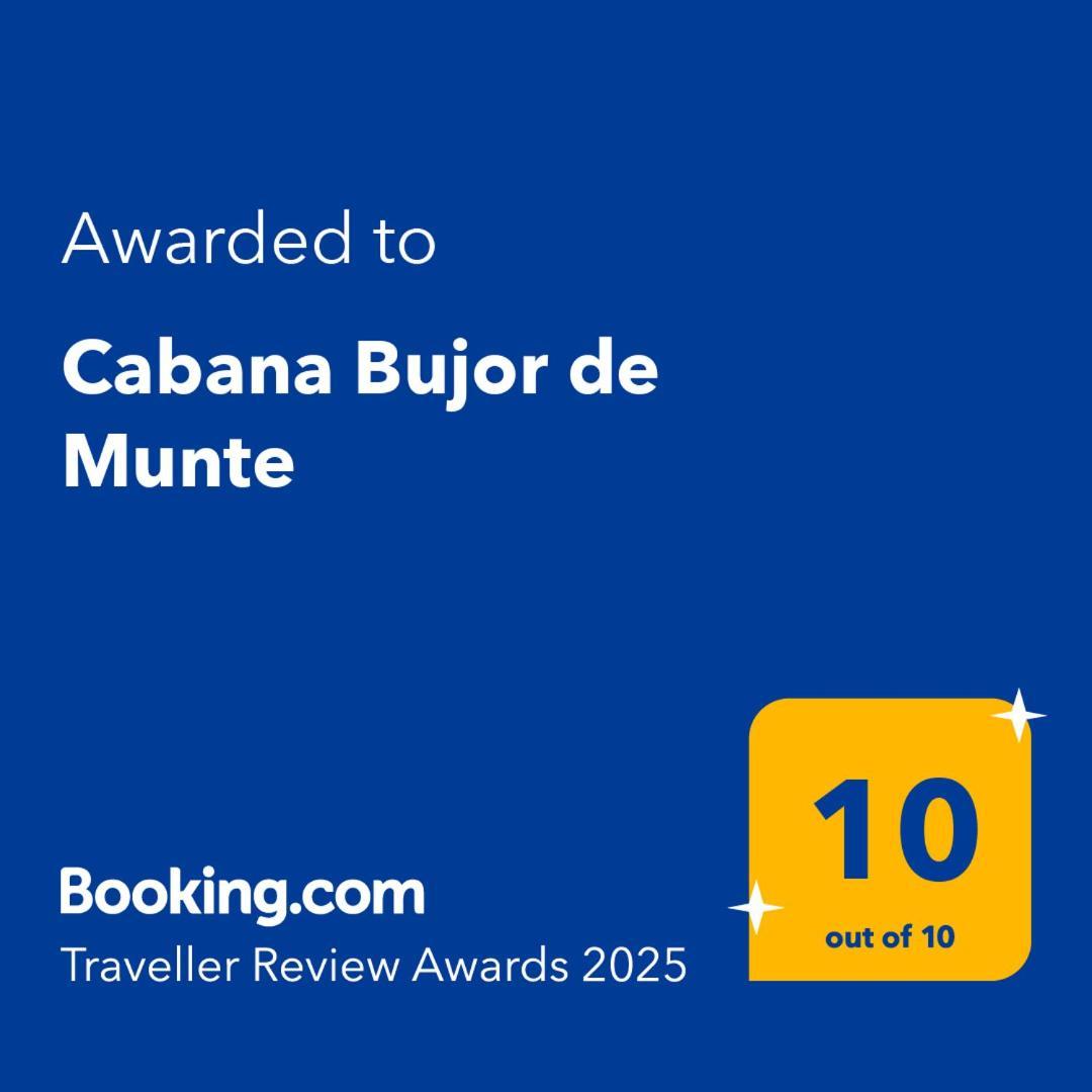 Cabana Bujor De Munte ริชนอฟ ภายนอก รูปภาพ